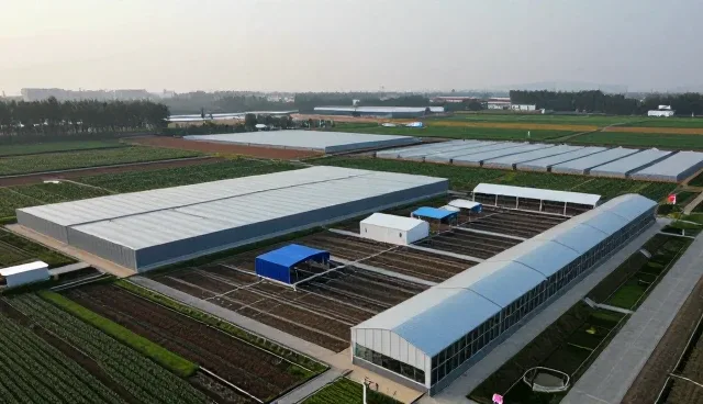 团队管理培训中场景化设计对实际效果的影响